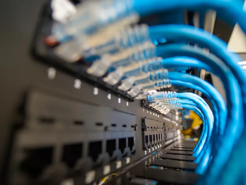 Network & Altyapı